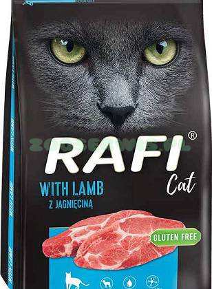 Rafi Cat