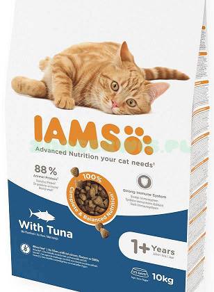 Iams