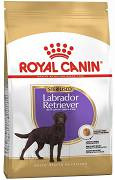 Royal Canin DOG Labrador Retriever Sterilised Karma sucha op. 12kg