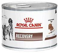 Royal Canin VET Recovery Karma mokra dla psa i kota op. 195g