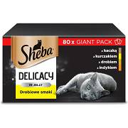 Sheba CAT Delicacy in Jelly Karma mokra kolekcja drobiowych smaków (galaretka) op. 80x85g GIANT PACK