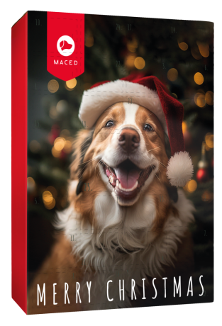 Maced Świąteczny kalendarz adwentowy dla psa