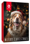 Maced Świąteczny kalendarz adwentowy dla psa