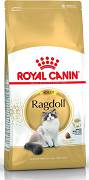 Royal Canin CAT Ragdoll Karma sucha z drobiem op. 2kg