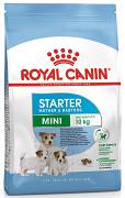 Royal Canin DOG Mini Starter Karma sucha op. 8kg
