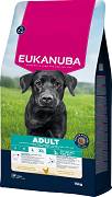 Eukanuba DOG Adult Large&Extra Large Karma sucha op. 15kg