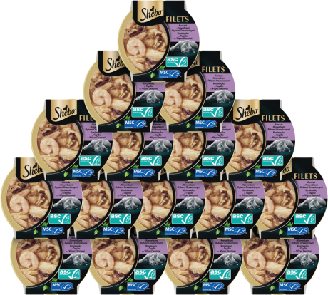 Sheba Filets Mokra Karma z kurczakiem, rybami oceanicznymi i krewetkami w sosie dla kota 16x60g PAKIET