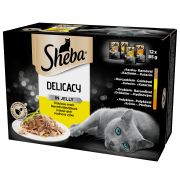 Sheba CAT Delicacy in Jelly Karma mokra kolekcja drobiowych smaków (galaretka) op. 12x85g