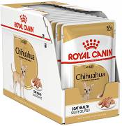 Royal Canin DOG Adult Chihuahua Karma mokra op. 12x85g PAKIET