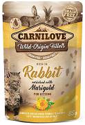 Carnilove CAT Kitten Rabbit&Marigol Karma mokra z królikiem i aksamitką op.  85g