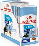 Royal Canin DOG Puppy Maxi Karma mokra op. 10x140g PAKIET