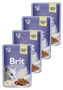 Brit Premium CAT with Beef Fillets for Adult Cats Jelly Karma mokra z wołowiną op. 12x85g PAKIET
