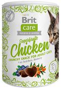Brit Care Superfruits Chicken Przysmak dla kota op. 100g