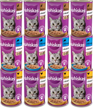 Whiskas CAT Adult Karma mokra w galaretce Pakiet Degustacyjny op. 12x400g PAKIET