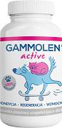 Gammolen Preparat wzmacniający dla psa 90kap.