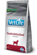 Farmina Vet Life DOG Gastrointestinal Karma sucha op. 12kg