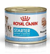 Royal Canin DOG Mini Starter Mousse Karma mokra op. 195g