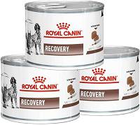 Royal Canin VET Recovery Karma mokra dla psa i kota op. 12x195g PAKIET