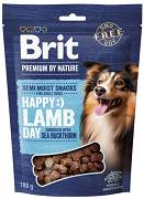 Brit Premium Happy Snacks Lamb with Sea Buckthorn Przysmak z jagnięciną dla psa op. 180g