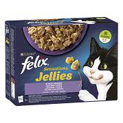 Felix CAT Sensation Jellies Karma mokra Wybór smaków (galaretka) op. 12x85g