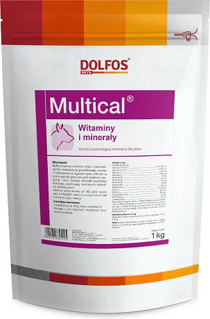 Dolvit Multical DOG suplement diety w proszku dla psa op. 1kg