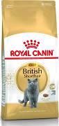 Royal Canin CAT British Shorthair Karma sucha z drobiem op. 10kg
