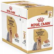 Royal Canin DOG Adult Yorkshire Terrier Karma mokra op. 12x85g PAKIET