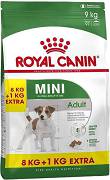Royal Canin DOG Mini Adult Karma sucha op. 8kg +1kg GRATIS