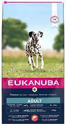 Eukanuba DOG Adult Large&Extra Large Salmon&Barley Karma sucha z łososiem op. 12kg