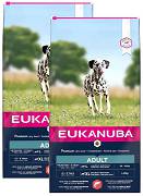 Eukanuba DOG Adult Large&Extra Large Salmon&Barley Karma sucha z łososiem op. 2x12kg DWU-PAK