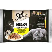 Sheba CAT Delicacy in Jelly Karma mokra kolekcja smaków drobiowych (galaretka) op. 4x85g