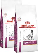 Royal Canin Vet DOG Renal Select Karma sucha op. 2x10kg DWU-PAK
